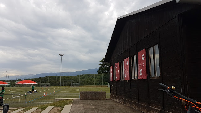 Rezensionen über Terrain de Foot Begnins in Nyon - Sportstätte