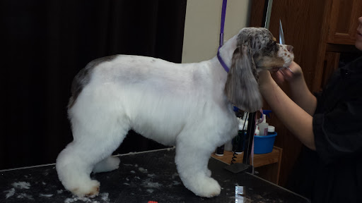 Pet Groomer «Tidy Dog Pet Supply & Salon», reviews and photos, 2612 Lebanon Pike A, Nashville, TN 37214, USA