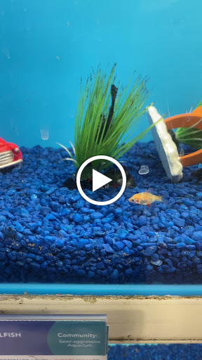 Pet Supply Store «PetSmart», reviews and photos, 7631 Carson Blvd, Long Beach, CA 90808, USA