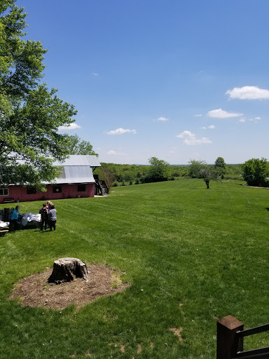 Winery «Wild Sun Winery», reviews and photos, 4830 Pioneer Rd, Hillsboro, MO 63050, USA