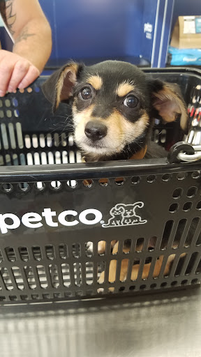Pet Supply Store «Petco Animal Supplies», reviews and photos, 1301 S California Blvd, Walnut Creek, CA 94596, USA