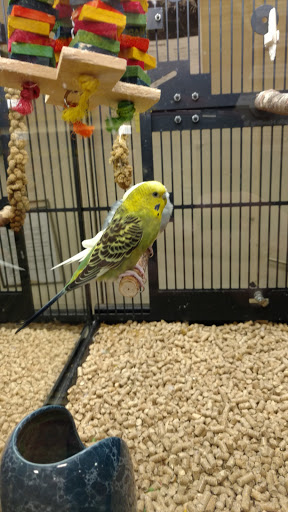 Pet Supply Store «PetSmart», reviews and photos, 4056 Atlanta Hwy, Loganville, GA 30052, USA