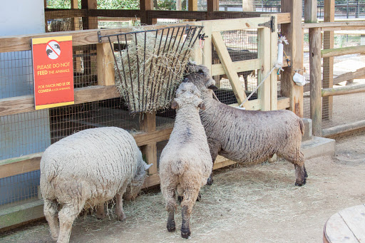 Zoo «Zoo Atlanta», reviews and photos, 800 Cherokee Ave SE, Atlanta, GA 30315, USA