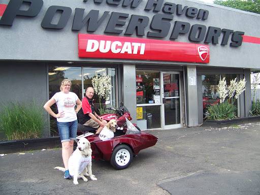 Motorcycle Dealer «New Haven Powersports», reviews and photos, 143 Whalley Ave, New Haven, CT 06511, USA