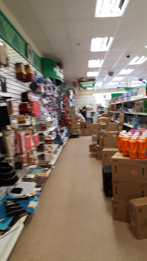 Dollar Store «Dollar Tree», reviews and photos, 299 Cottage Grove Rd, Bloomfield, CT 06002, USA