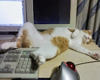KITTY in NY - Photo 4 - Car repair in , New York