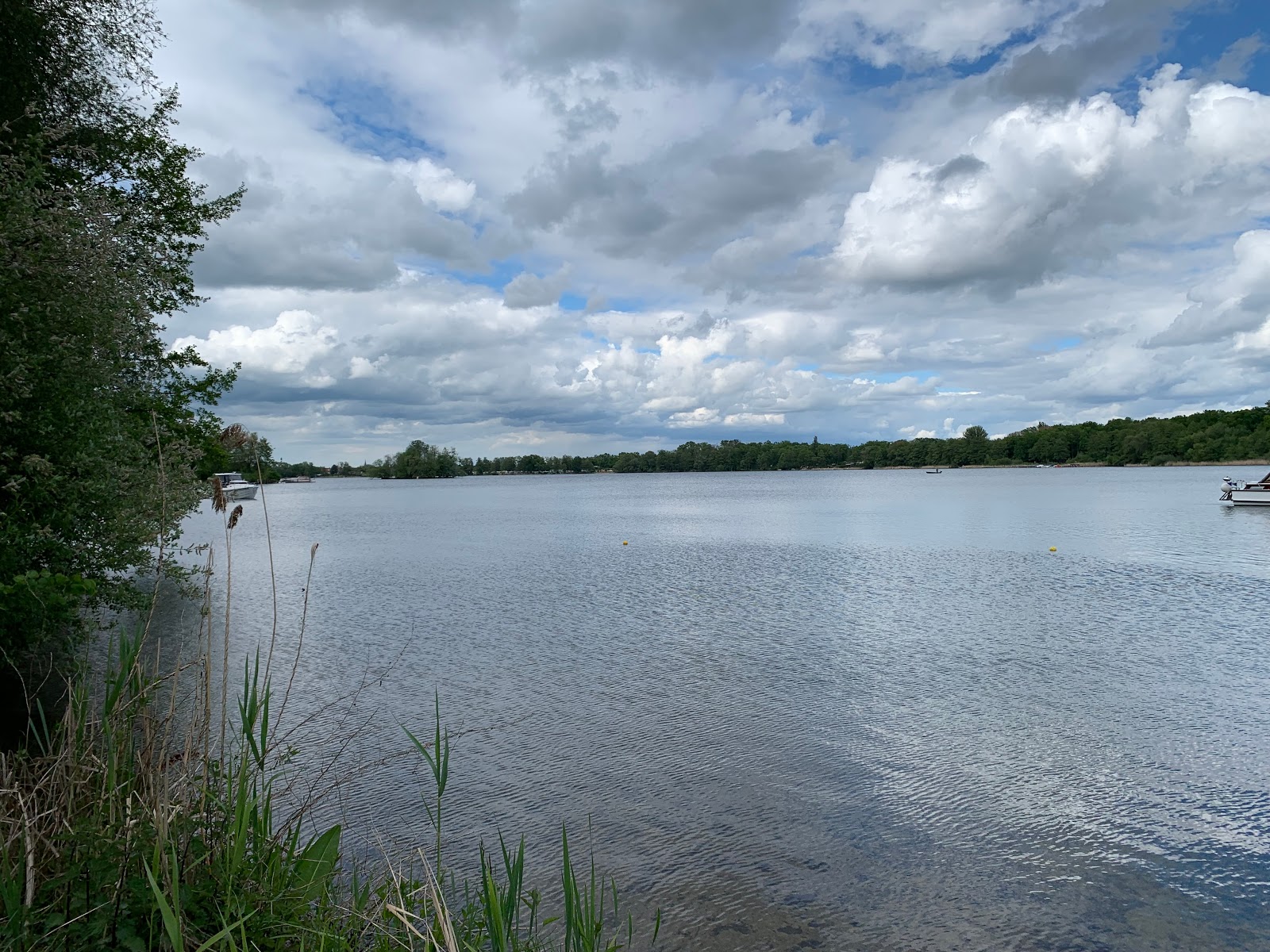Zdjęcie Strand Am Glindower See z powierzchnią trawa