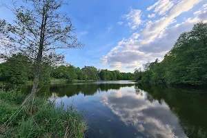 Szlak nad stawem Browarnym image