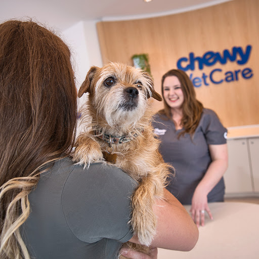 Chewy Vet Care 9+Co image