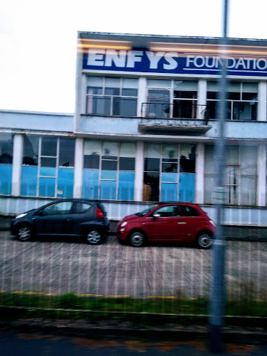 Enfyns Foundation