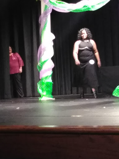 Performing Arts Theater «Krider Performing Arts Center», reviews and photos, 650 Volunteer Dr, Paris, TN 38242, USA