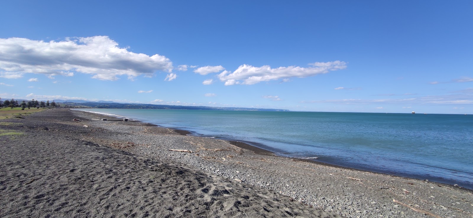 Westshore Beach的照片 带有长直海岸