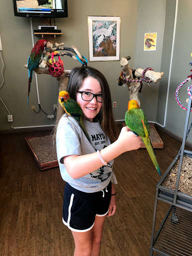 Bird Shop «Parrot & Bird Emporium Inc», reviews and photos, 360 N Westfield St, Feeding Hills, MA 01030, USA