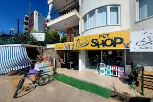 Queen Pet Shop& Petkuaför image