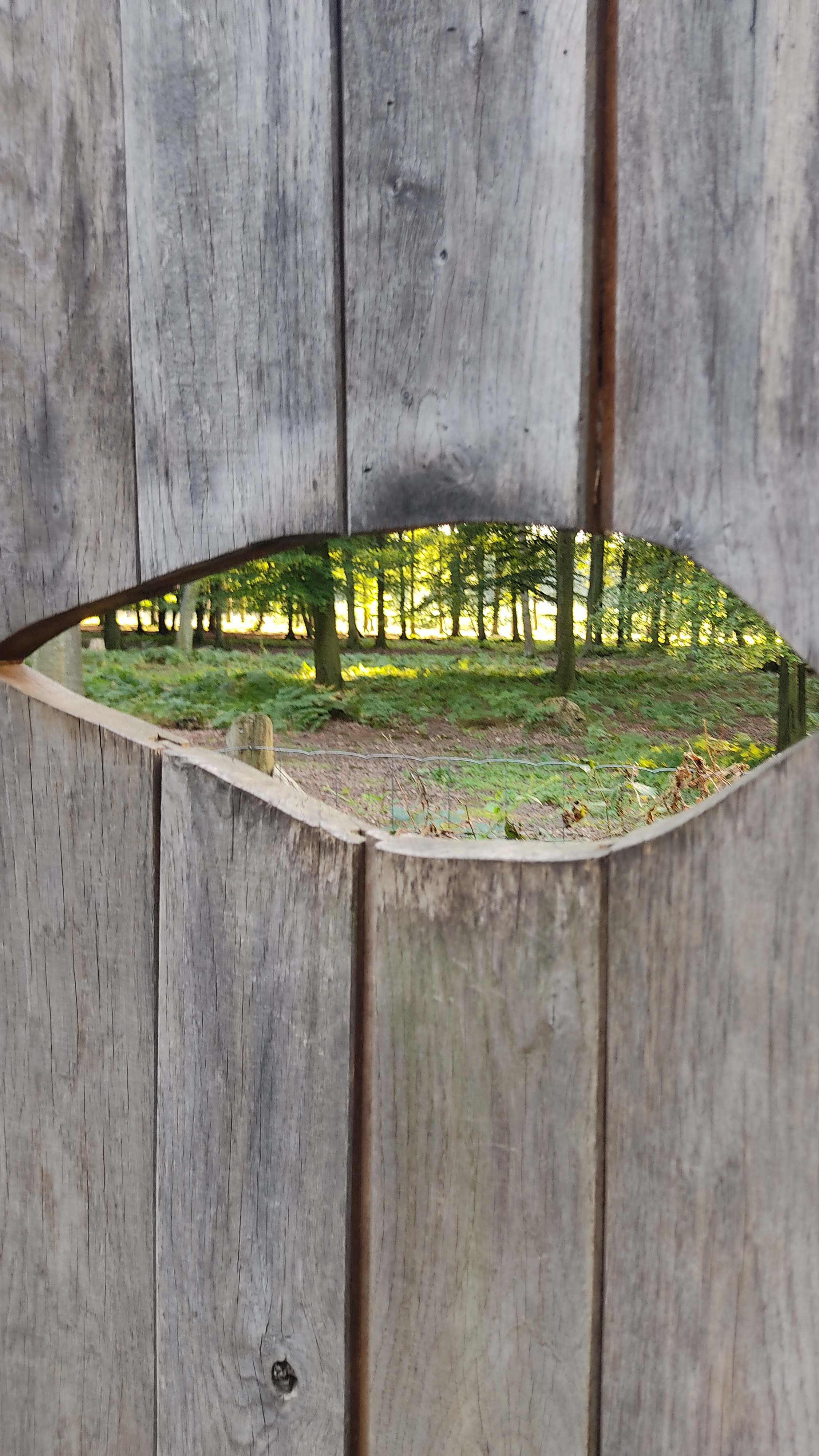 Photo n° 1 de l'avis de Elisabeth.e fait le 07/09/2023 à 17:57