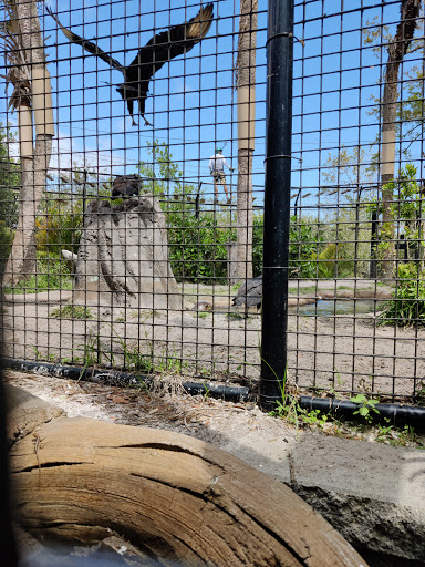 Zoo «Brevard Zoo», reviews and photos, 8225 N Wickham Rd, Melbourne, FL 32940, USA