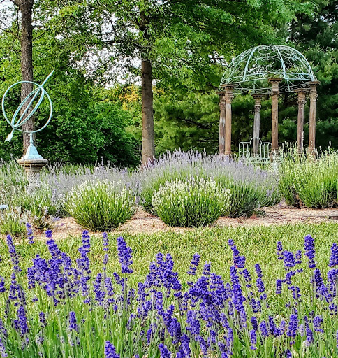 Farm «Blooming Hill Lavender Farm», reviews and photos, 19929 Telegraph Springs Rd, Purcellville, VA 20132, USA