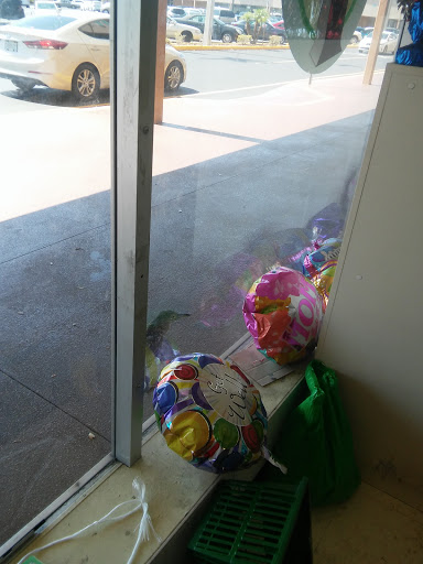 Dollar Store «Dollar Tree», reviews and photos, 1279 S Missouri Ave, Clearwater, FL 33756, USA