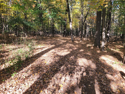 Irving Park Cross Country Skiing Trail