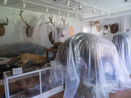 Museum «Woodman Museum», reviews and photos, 182 Central Ave, Dover, NH 03820, USA