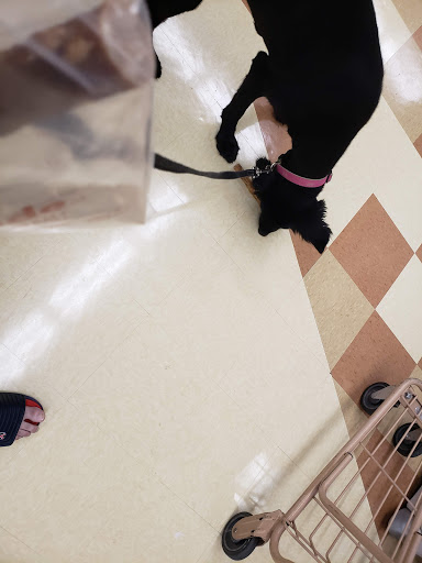 Pet Supply Store «Petco Animal Supplies», reviews and photos, 106 N Denton Tap Rd #310, Coppell, TX 75019, USA