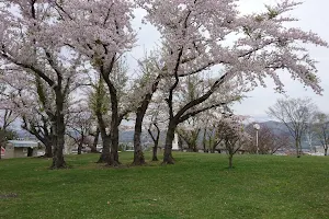 Tateyama Park image