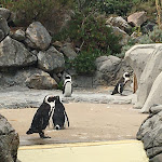 Photo n° 14 de l'avis de Sarah.. fait le 02/08/2021 à 16:25 pour Océarium du Croisic à Le Croisic