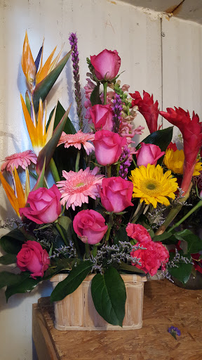 Florist «Blanca Flor Flower Shop», reviews and photos, 3102 Telephone Rd, Houston, TX 77023, USA