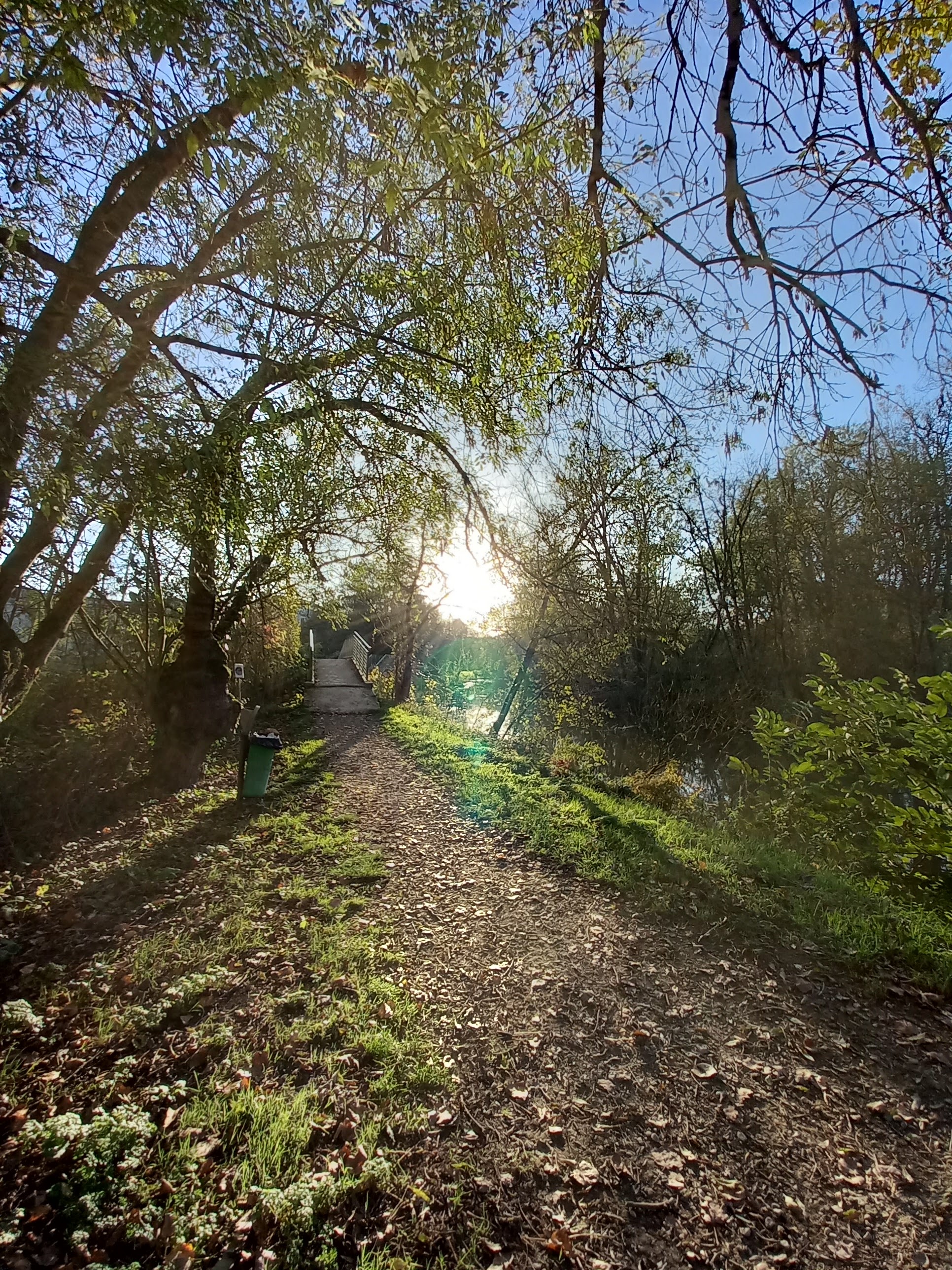 Photo n° 1 de l'avis de roger.a fait le 13/11/2022 à 17:43