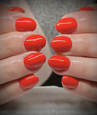 Nails de Troy à Wormhout