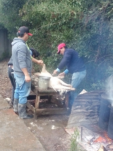 Opiniones de El Piston Del Camionero en Ñiquén - Restaurante