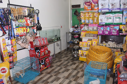 GR Pet Shop &Pet salon & Dog sale in Jalandhar