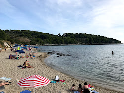 Vela Przina beach'in fotoğrafı ve yerleşim