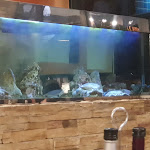 Photo n°4 de l'avis de Luigi.A fait le 30/06/2023 à 21:20 sur le  Il Ristorante Diana à Riccione