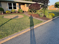 Back Your Yard LLC - Photo 5 - Car repair in Palmerton, PA, Allentown