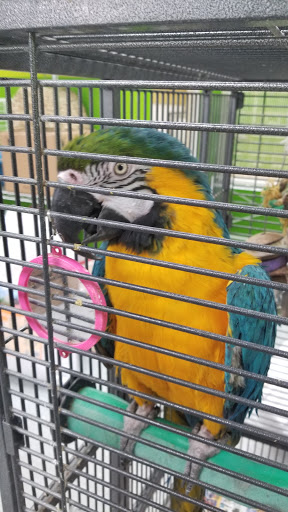 Pet Store «Coral Reef Pet Center», reviews and photos, 7723 W Lawrence Ave, Norridge, IL 60706, USA