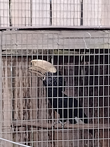 Zoo «Florida International Teaching Zoo», reviews and photos, 7725 FL-48, Bushnell, FL 33513, USA