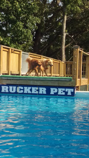 Pet Supply Store «Rucker Horse & Pet», reviews and photos, 3540 Keith Bridge Rd, Cumming, GA 30041, USA