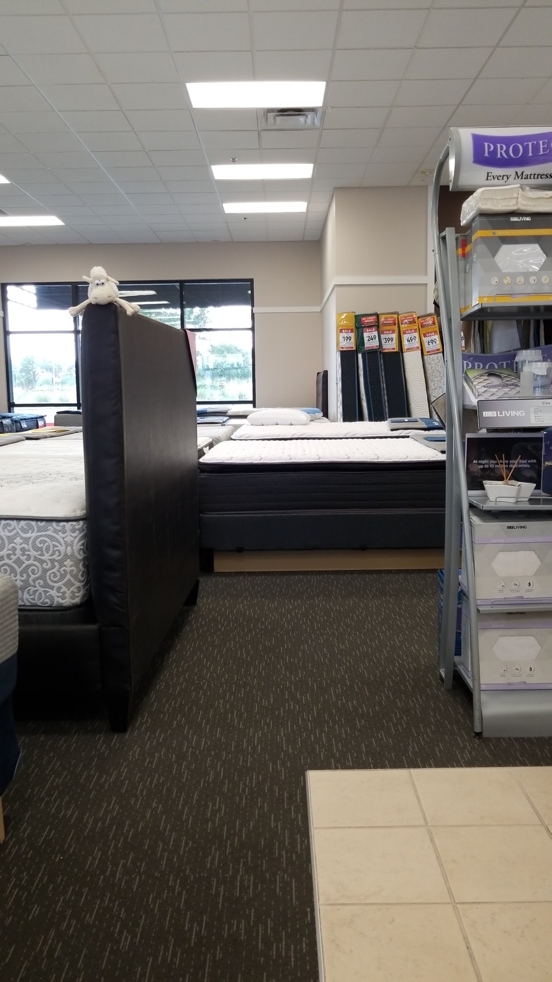 Mattress Firm Winter Garden