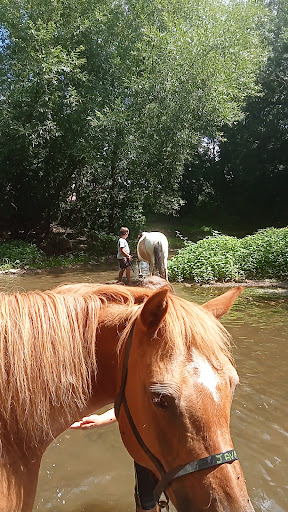 L ECOLE DU CHEVAL à Saint-Hilaire-des-Loges, Vendée
