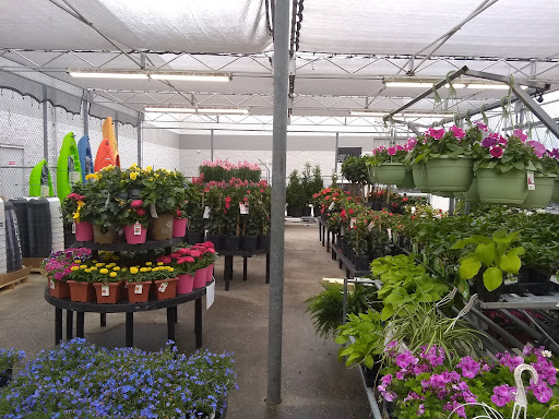 Department Store «Walmart Supercenter», reviews and photos, 2014 S Irby St, Florence, SC 29505, USA