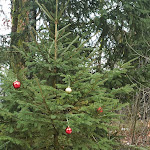 Photo n°49 de l'avis de Alexander.o fait le 08/03/2023 à 22:46 sur le  Urlaubshotel Binder à Büchlberg