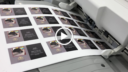 Commercial Printer «PrintLEX», reviews and photos, 257 E Short St Suite 120, Lexington, KY 40507, USA