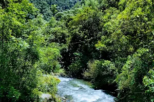 Otún River image
