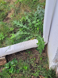 Grapes of Wrath Landscaping - Photo 8 - Car repair in , Boston