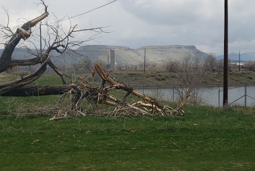 Golf Course «Applewood Golf Course», reviews and photos, 14001 W 32nd Ave, Golden, CO 80401, USA