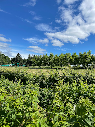 Farm «Bishop Farm & Winery Inc», reviews and photos, 500 S Meriden Rd, Cheshire, CT 06410, USA