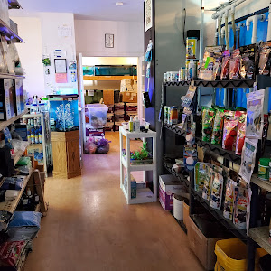 Pet Supply Store «Milwaukee Aquatics», reviews and photos, 3946 S Howell Ave, Milwaukee, WI 53207, USA
