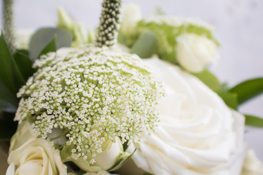 Florist «Ashland Addison Florist Co», reviews and photos, 250 E Superior St, Chicago, IL 60611, USA