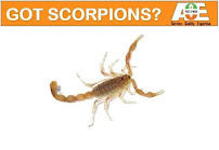 A&E Pest And Weed Control - Photo 5 - Car repair in Peoria, AZ, Phoenix